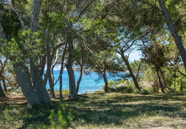 Villa en Formentera - Villa Sa Rondalla - Migjorn Villa en Formentera - Villa Sa Rondalla - Migjorn