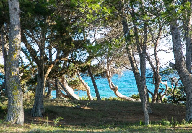 Villa en Formentera - Villa Sa Rondalla - Migjorn Villa en Formentera - Villa Sa Rondalla - Migjorn