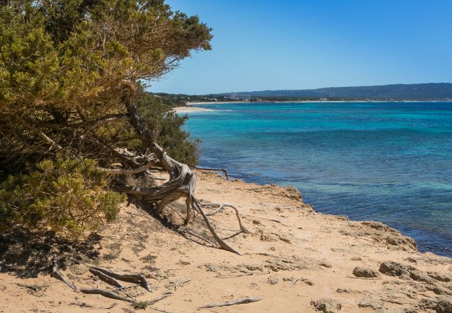 Villa en Formentera - Villa Sa Rondalla - Migjorn Villa en Formentera - Villa Sa Rondalla - Migjorn